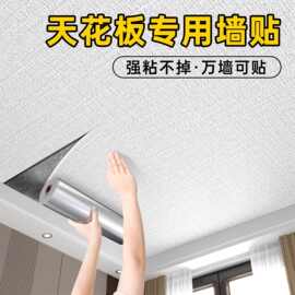 天花板贴纸屋顶吊顶墙面遮丑装饰脱落修补墙纸自粘防水防潮墙壁纸