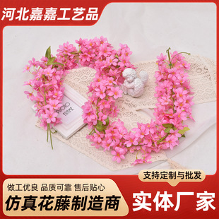 120�^ӭ�����l���滨�l�p�@���{�ܵ������������ϼٻ��ٗlӭ����