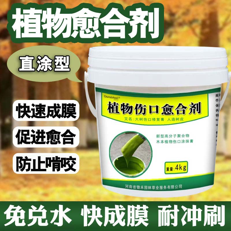녹색 4kg / 배럴