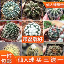 �����������ƽM�ϻ��ܾGֲ���Զ���ֲ�����֎�С���ԺÎ����Ժ�