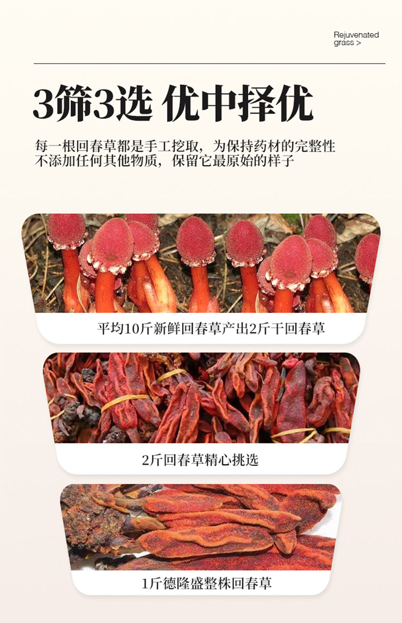 Huichuncao Dried Yunnan Herb Whole Plant 500g Traditional TCM Culinary Use key features