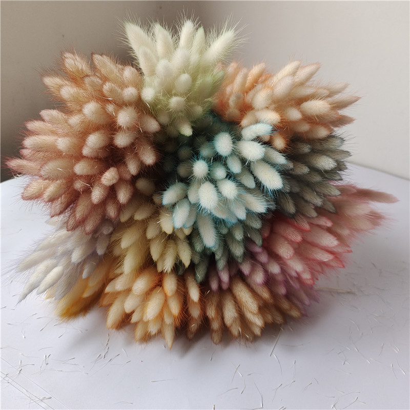 Dried Rabbit Tail Grass Flower Bouquet Living Room Decor Dried Flower Ornament Luxurious High-end Real Flower DIY Material Luxurious High-end Sense