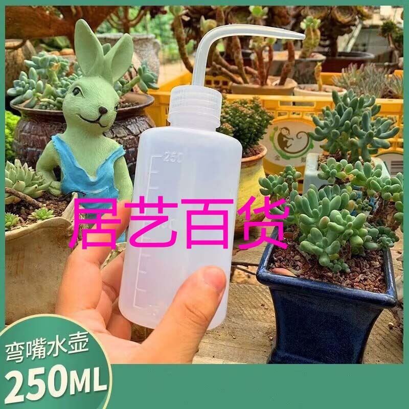 ステンレス製の長い口の花の水やりケトル、見栄えの良い家庭用花の水やりケトル、ポトス鉢植えの水やりガーデニングツール工場|undefined