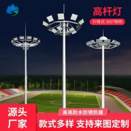 太阳能灯;庭院灯;道路照明灯