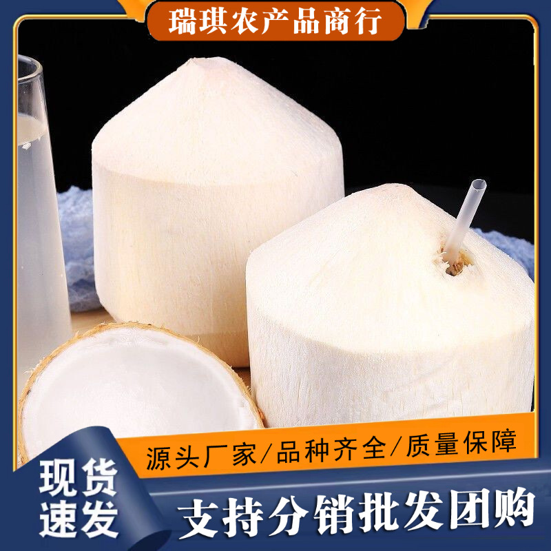 椰青新鲜椰子9个装应季孕妇水果椰香皇去皮香水椰子整箱包邮批发