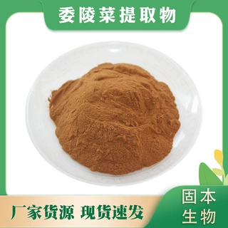 委陵菜提取物 委陵菜浓缩粉 水溶白头翁/翻白菜提取物 1KG起包邮