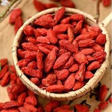 宁夏红枸杞批发代发 250克 新货头茬中宁枸杞煮粥泡茶枸杞子