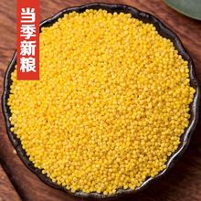 山西特产黄小米新米500克月子米宝宝米粗粮杂粮小黄米米脂小米粥