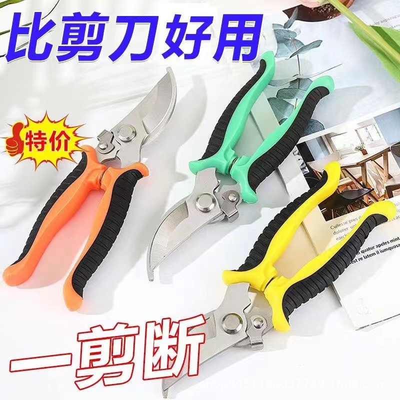 不锈钢修枝剪树枝剪园艺剪刀果园花枝摘果剪工具剪盆景园艺工具