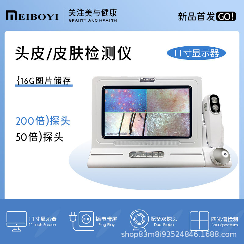 화이트