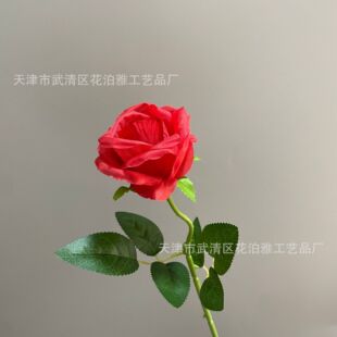 ���Q��c���滨���^õ���ֹ��ٻ���Y�������컨�ďS�����l���˹�