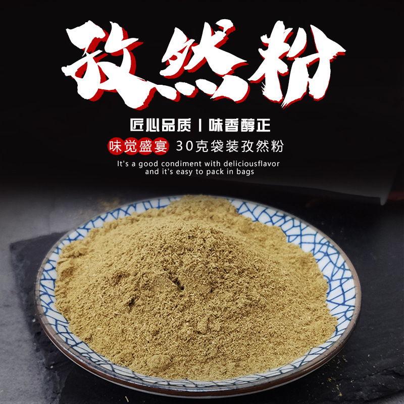 孜然粉烧烤调料30g袋装家用调味品烧肉增香腌料撒酱料商用整箱批