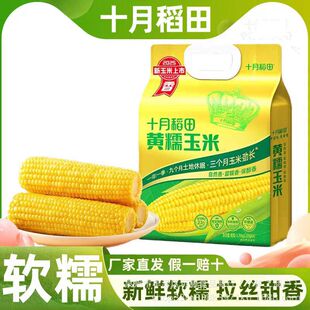 ������ʮ�µ����SŴ����3/5/8/10�� ��Ŵ��Ŵ�����rʳ