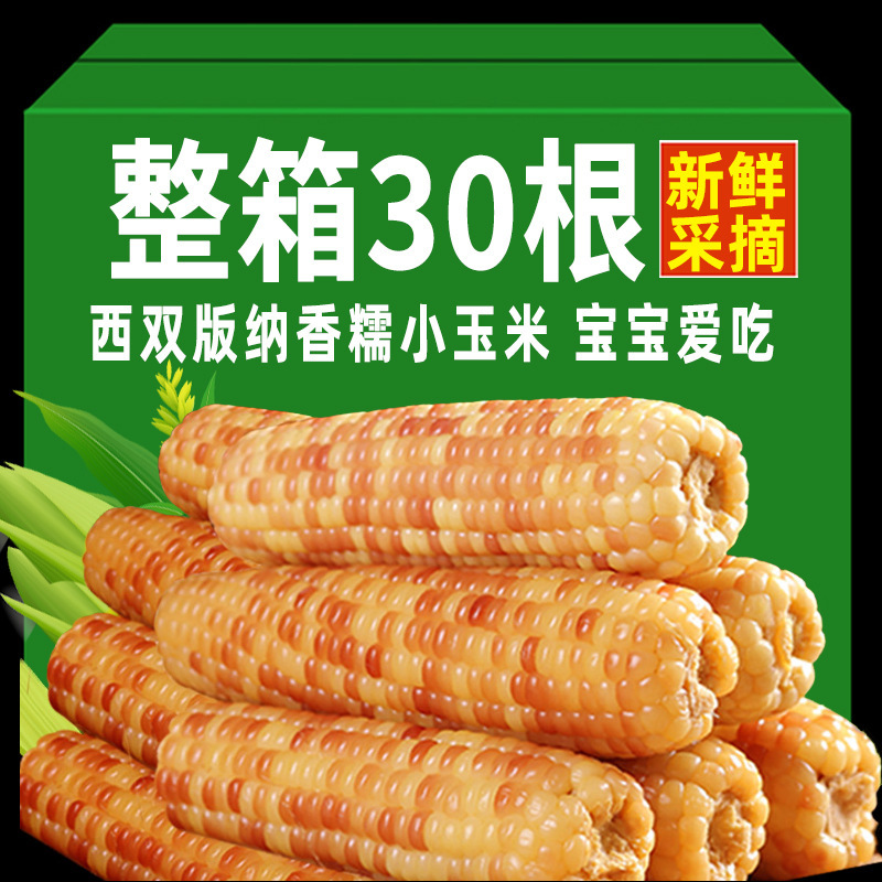 Yunnan Xishuangbanna Fragrant Glutinous Small Corn Fresh Corn Flower Glutinous Sweet Stick Vacuum Packaging 120G-160G/Stick