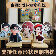 丑猫抱枕定制可印照片来图定做异形玩偶宠物枕头动物真人礼物靠垫