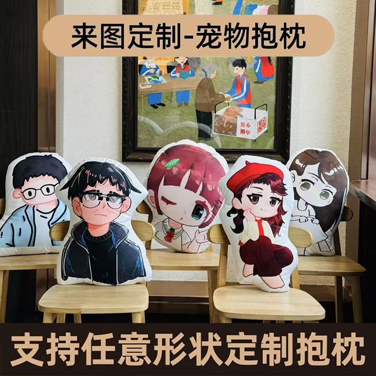 丑猫抱枕定制可印照片来图定做异形玩偶宠物枕头动物真人礼物靠垫