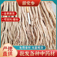 甘党参甘粛原産地漢方薬材白条党参段切片新商品多規格無硫黄党参条卸売り