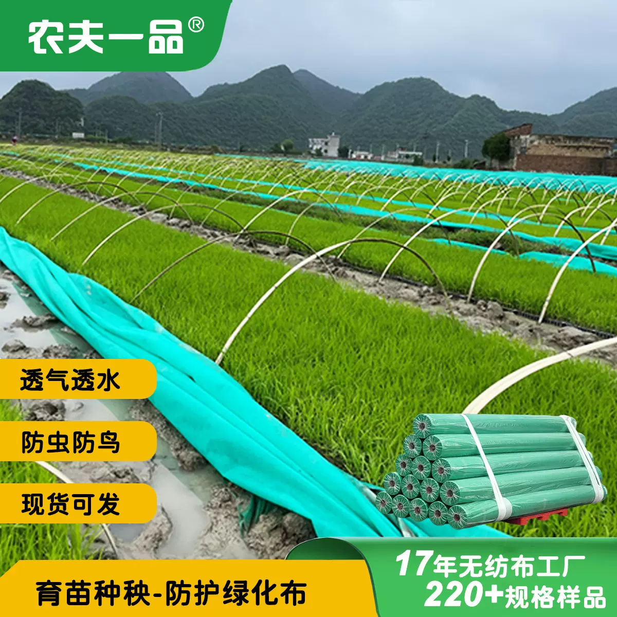 现货直销透气渗水防虫防鸟防早春寒绿色防护育苗布育秧布土工布