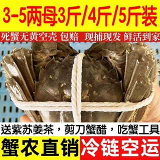 2.8两以上缺脚蟹9指残蟹活蟹特大蟹全母蟹大闸蟹新鲜活螃蟹湖河蟹