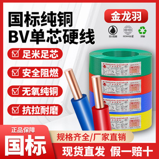 ������늾���|����BV1.5/2.5/4/6/10/16ƽ����о���b���� Ӳ��