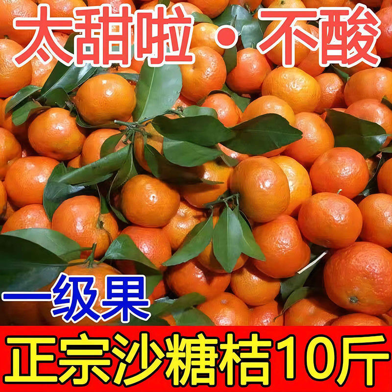 广西沙糖桔薄皮砂糖橘纯甜桔橘子新鲜当季时令水果批发价|ru