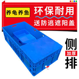 大号乌龟缸周转箱长方形养鱼养龟长盒养殖乌龟筐塑料框加厚大胶箱