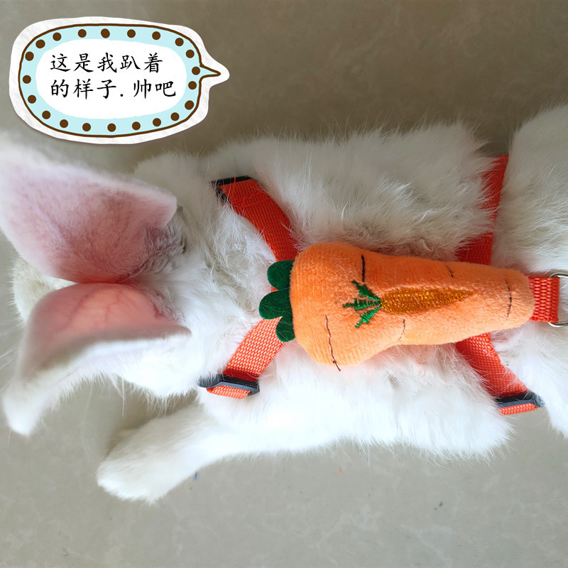 O1CN01HemFfY20m82taWaO1_!!4154