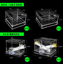 蜘蛛养殖盒菜青虫蛐蛐大麦观察麦麸杜比亚蟋蟀蟑螂养殖盒