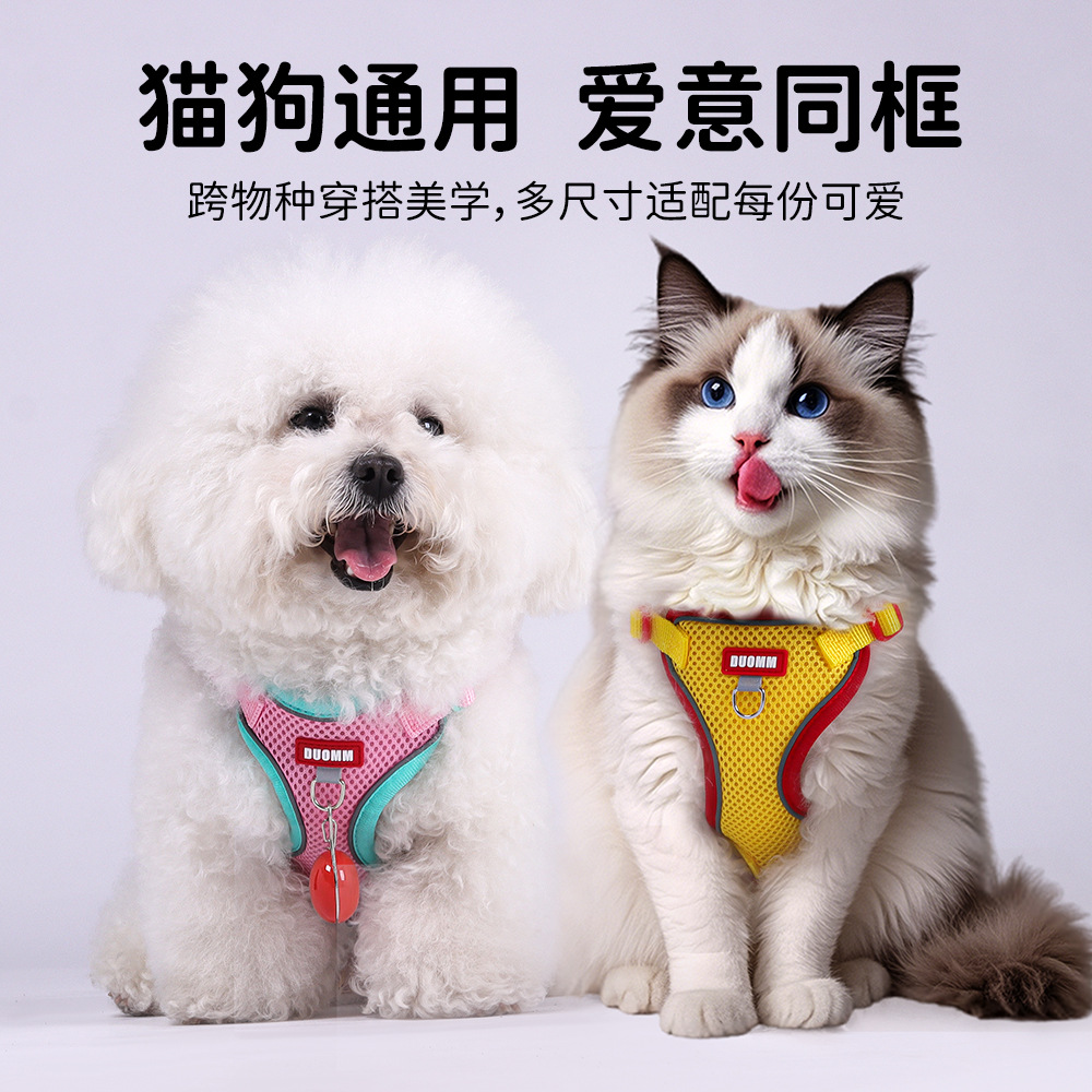 跨境经典撞色升级宠物牵引绳双层网布柔软舒适可挂名牌猫咪牵引绳
