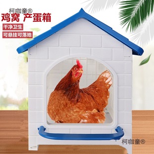 �u�µ����ϸC�������ϑ���С���Ӽ�ɢ�B��ĸ�u�����a������̫��