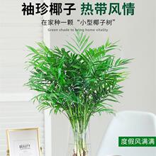 ˮ������Ҭ��ֲ�︻�F�Pβ����������С�Gֲ�͏d�k���҃��ļ����B
