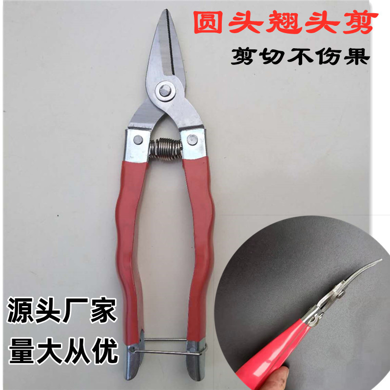 弯头摘果剪稀果剪水果采摘工具剪刀翘头桔子蜜柚剪刀圆头去果把剪