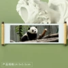 Panda 206