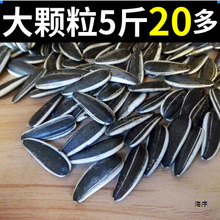 ӿ؛rӳԭζ363eʳԹ؛