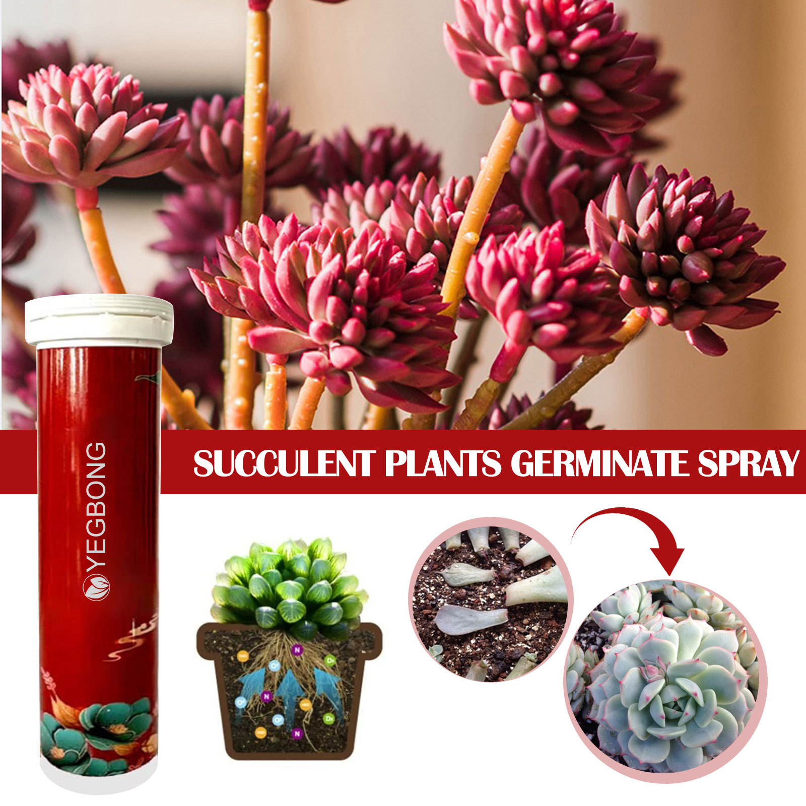 Plant Care Tablets