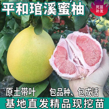 ƽ�ͬgϪ���֘����ϱ���ͥԺ�������Լ޽Ӽt����������䮔��Y��