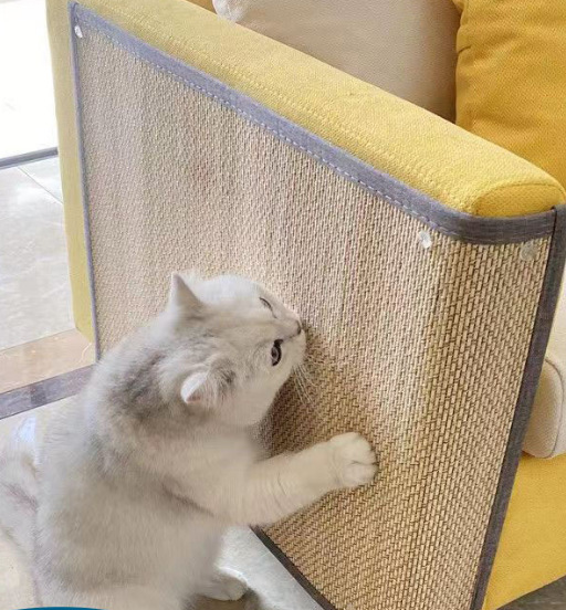 회색 테두리(액세서리 제외)