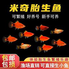 ���~С���~̥���~�Ꭷ�^�p�~�~�~�ͻ���B�t���¹��~���S���l؛Դ