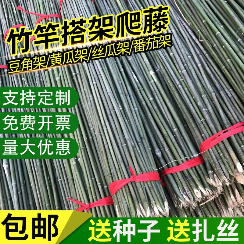 Томатный бамбук, новый продукт, забор для сада, огурцы, рамка для лазания, флагшток для бобов, бесплатная доставка, бамбуковая стойка, рамка для огорода, тонкий забор