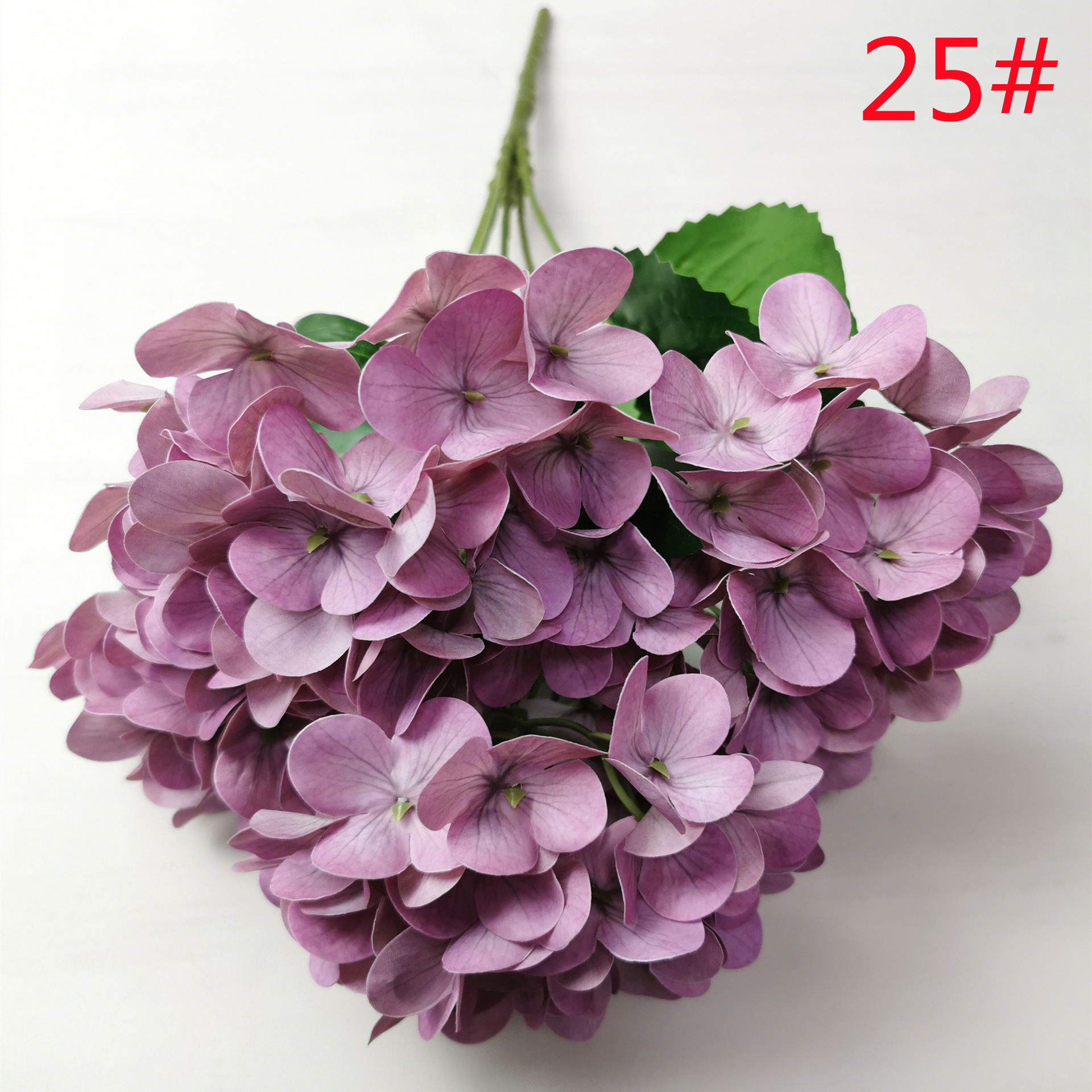 25#