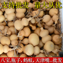 ��Ȼ�ְѼ�����Λρ��ƿ�Ӱˌ�����[�����������J��ƷС����