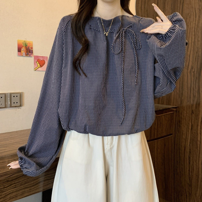 Autumn shirt, plus size