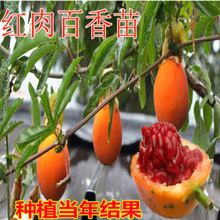 �炐�ȁ��������Ʒ�N���۰�����箔��Y���������������̨