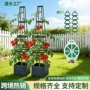 塔形植物热销跨境番茄架
