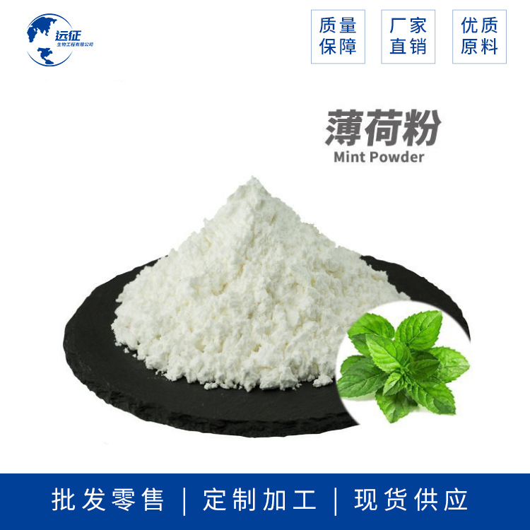 现货直销 薄荷粉 薄荷叶粉 植物提取物 精选原料 品质保障