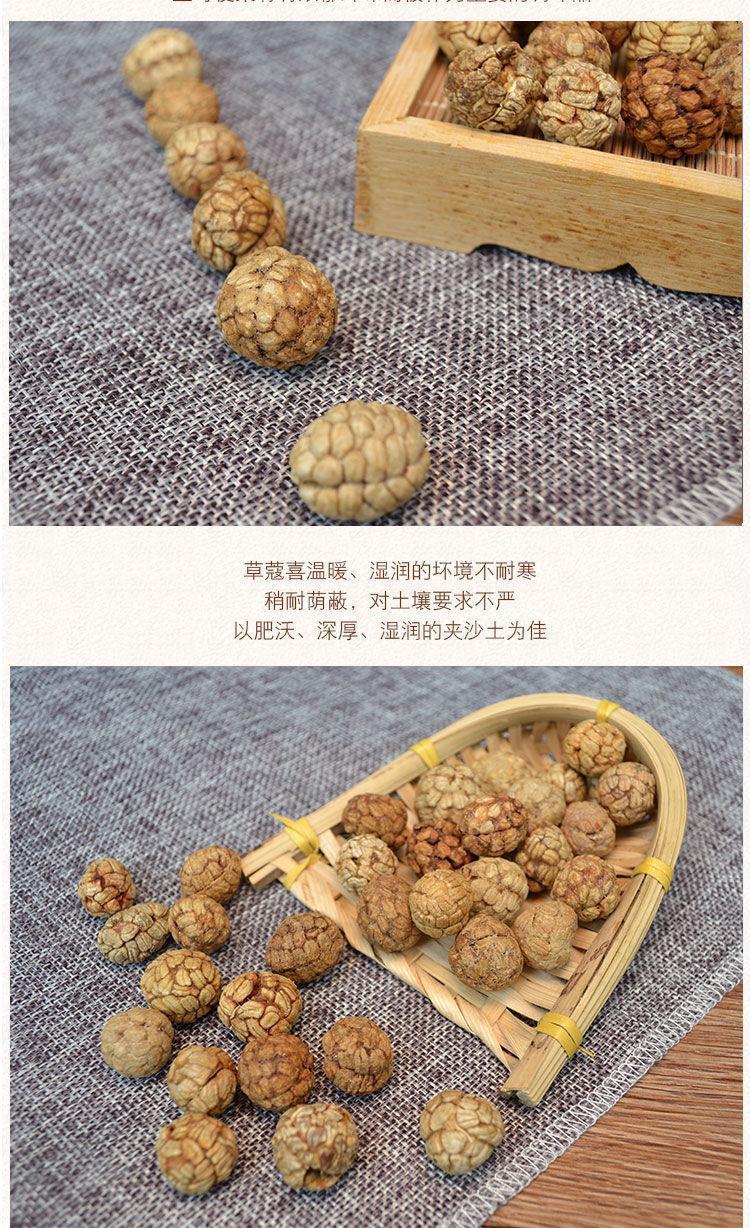 Tsaoko Cardamom Cao Dou Kou Sliced Dried Fruit 500g for Braising Stews and Spice Blends in use