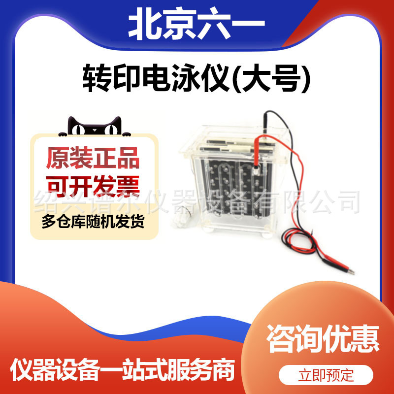 北京六一DYCZ-40A型转印电泳仪(大号)