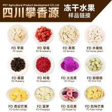 攀香源FD水果冻干冻干芒果草莓水蜜桃火龙果干样品20g装零食