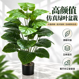 跨境仿真绿植滴水观音海芋叶客厅家居装饰室内外盆栽植物假树造景