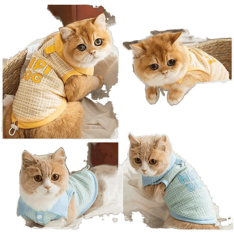 Primavera y verano de mascotas gatos jacquard cuello a cuadros puede traer chaleco pequeño gato azul muñeca para evitar la pérdida de pelo ropa